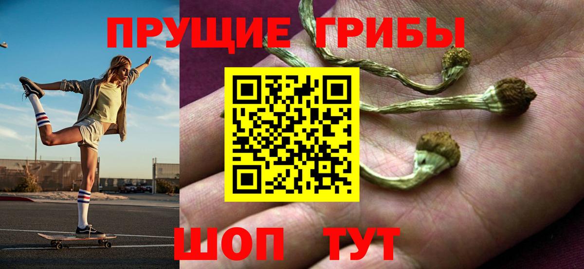 Галлюциногенные грибы прущие грибы Чапаевск