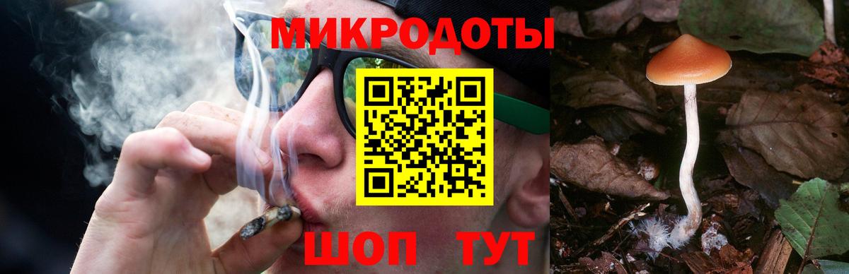 Галлюциногенные грибы Magic Shrooms  Вход с VPN  Галлюциногенные грибы Psilocybine cubensis  Чапаевск 